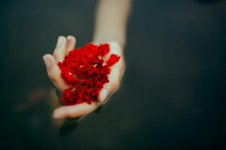 手心裏的紅花