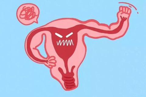 女性生殖器官漫畫